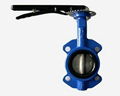 cast iron wafer butterfly valve 1