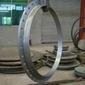 Weld neck flange