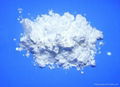 rate earth tricolor phosphor powder