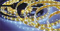 high quality cheaper price IP 20 LED strip 1