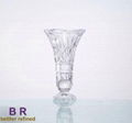 glass cup,glassware 1