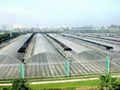 Terraced greenhouse 2