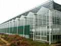 Terraced greenhouse 3