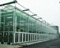 Terraced greenhouse 4