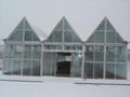 Terraced greenhouse 5