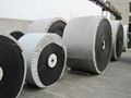 Nylon Conveyor Belt 