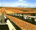 Polyester Conveyor Belt  1