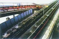 Polyester Conveyor Belt  2