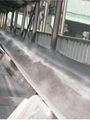 Heat Resistant Conveyor Belt  1