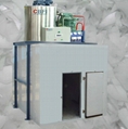 Large Automatic Ice Flake Making Machine from 1ton to 60tons 4