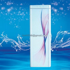 Household water purifier