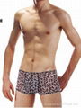 Slim Leopard Sheer Men's Boxer Brief 1