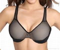 Keyhole Embellished Minimizer  bra 1