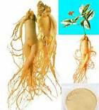 Ginseng Root Extract 