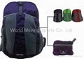 2013 fashion light foldable travel bag 2