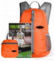 2013 best selling fashion light foldable backpack 1