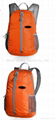 2013 best selling fashion light foldable backpack 2