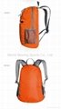 2013 best selling fashion light foldable backpack 3