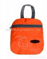 2013 best selling fashion light foldable backpack 4