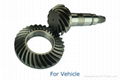 Spiral Bevel Gear (Vehicle) 1