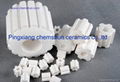 Alumina Flutted Rings 1