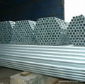 galvanized steel pipe low price 4