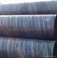 complete specifications spiral steel pipe hot sale  4