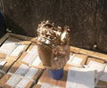 TCI drill bits/Tricone drill bits 2