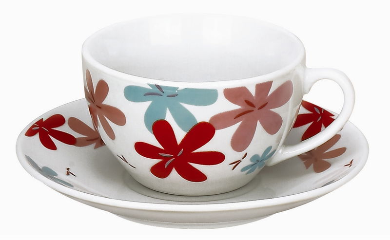 220CC CUP AND SAUCER 2