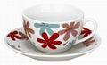 220CC CUP AND SAUCER 2