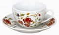 220CC CUP AND SAUCER 3