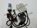 Error Free No Problem Car HID canbus ballast xenon headlight 4300k-12000k 1