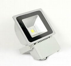 80W LED Projection Light   