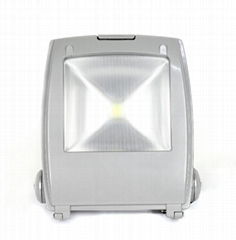 50W LED Projection Light