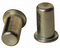 Flat Head Blind Rivet