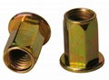 Hexagon Rivet Nut 1