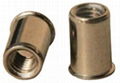 Rivet Nuts/Blind Rivets