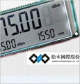 Customized Digit LCD Module Segment LCD