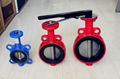 Butterfly valve 3