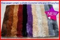 carpet manufacturers chinese silk rugs 4