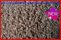 leopard print carpet carpet store white carpet