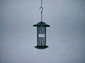 bird feeder