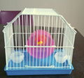 hamster cage