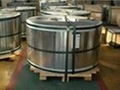 tinplate coil/sheet