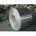 high quality tinplate coil 4