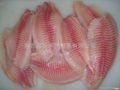 Frozen Tilapia Fillet 2