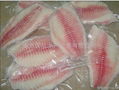 Frozen Tilapia Fillet 3