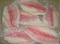 Frozen Tilapia Fillet 5