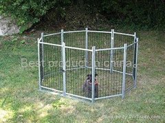 Dog running cage