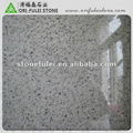 High Quality Buliding Material American Grey Granite  1